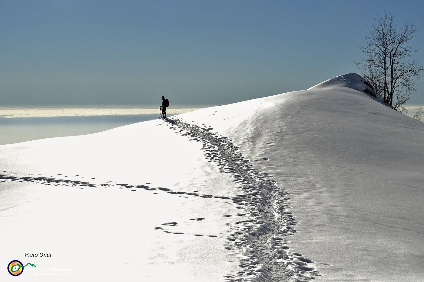 54 La neve splende al sole con  riverbero abbagliante!.JPG